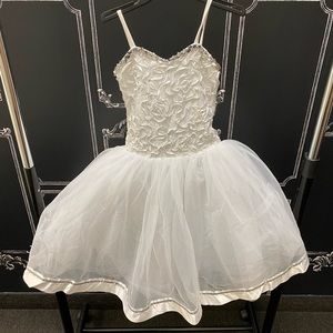 Full Princess Ballet Tutu